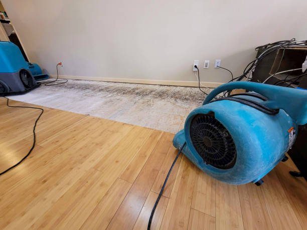 Professional Flood Damage Cleanup technician working in Allen, MI